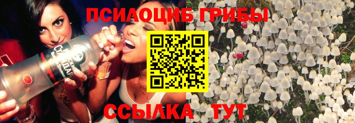 Псилоцибиновые грибы прущие грибы  Вход с VPN  Псилоцибиновые грибы MAGIC MUSHROOMS  сколько стоит  Зеленодольск 