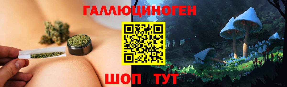 Псилоцибиновые грибы мицелий Зеленодольск